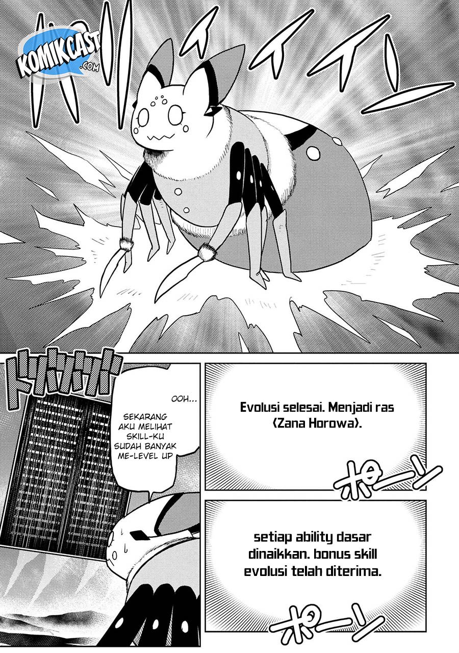 Kumo desu ga, Nani Ka?